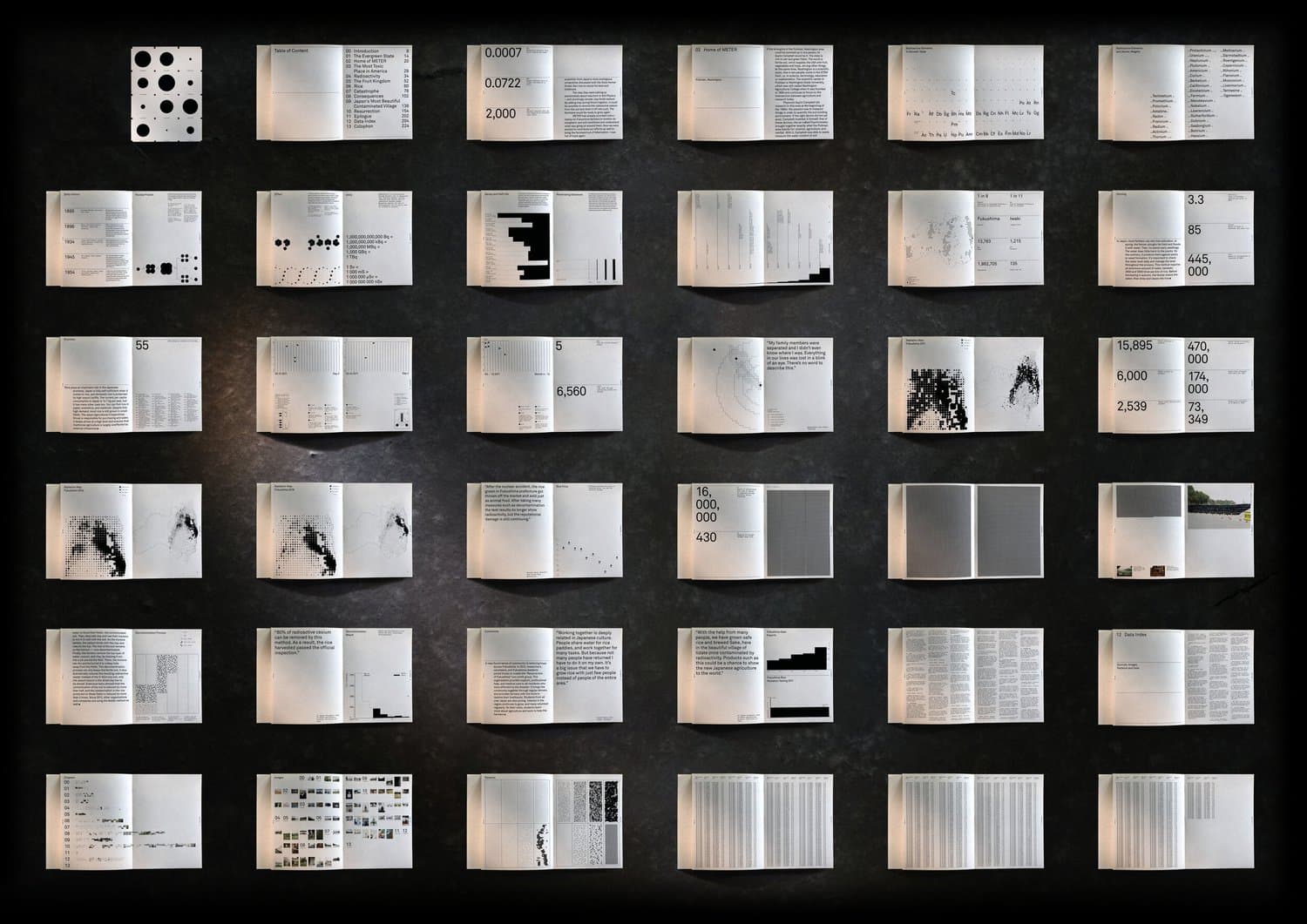 Made in Fukushima — additional data pages from the book