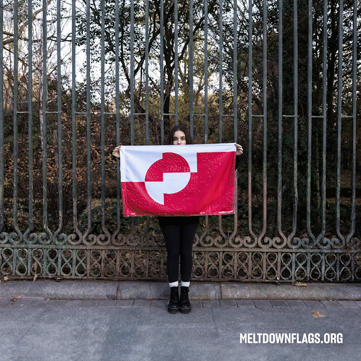 Meltdown Flags